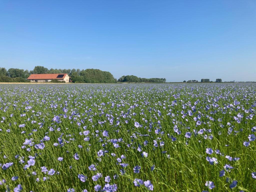 'T Wagenhuis เรตรองเชอเมนต์ ภายนอก รูปภาพ
